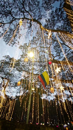 Cali y la magia navideña con HONOR400