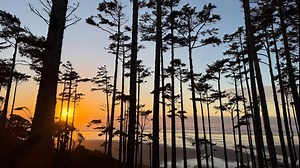 Seabrook offers serene winter escape on Washington coast