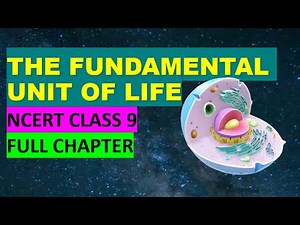 Fundamental Unit of Life | Class 9 Science | Full Chapter Explanation