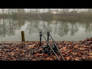 How to catch more carp in the winter I FreestyleFishing