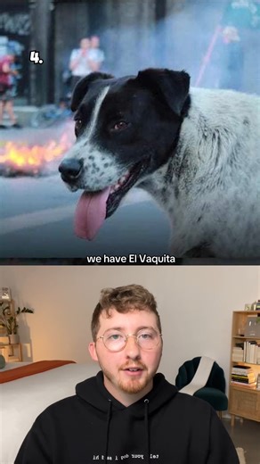 WeRateDogs on Instagram: "Top 10 Protest Dogs! A riot dog is a stray dog that accompanies street protesters. The term originated during the 2008 Greek riots and stuck due to the frequency of dogs siding with the people. Peaceful protests can turn violent at any time due to police intimidation and escalation tactics. We strongly discourage our audience from bringing their dogs to protests."