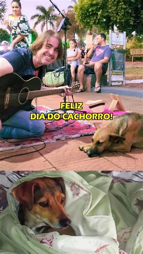 224K views · 10K reactions | Feliz Dia do Cachorro! 殺 Dia 26 de agosto é o Dia Mundial do Cachorro! Como prometido, estou compartilhando este video, juntamente com as fotos que muitos de vocês enviaram quando postei o vídeo do Caramelo. Aqui está a minha humilde homenagem os nossos fiéis, alegres e carinhosos companheiros! | James Marçal "James Band" | Facebook