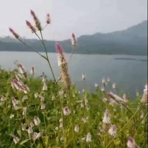 84 reactions | Good Morning fam! #CreatedOnNote #GalaxyNote9 | Debu Ghosh | Facebook