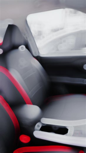 Stylish Red Leather Seat Covers for Your Raize