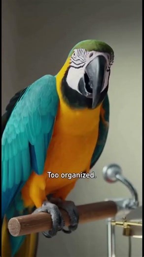 “Very Organized.” – Parrot Exposes the Truth 😂 | Police Comedy Short #parrotcomedy #funny
