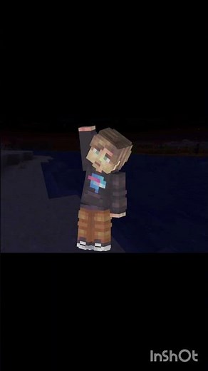 Mr beast minecraft skin 💸