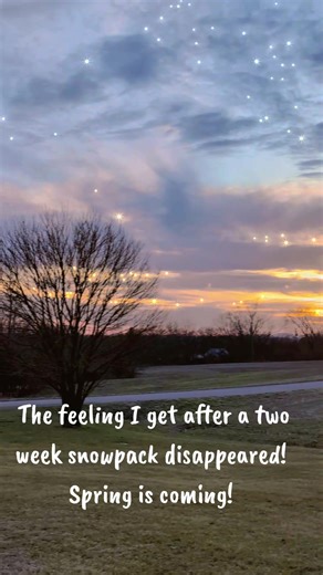 ##goodbyesnow #springiscoming #dusk