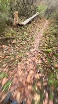Bumpy track off roading on the Isinwneel V10