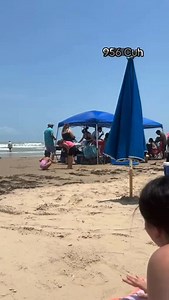 8.2K views · 16K reactions | South Texas beaches are becoming...
