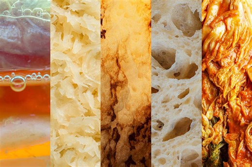 The exceptionally tasty new fermented foods being cooked up in the lab