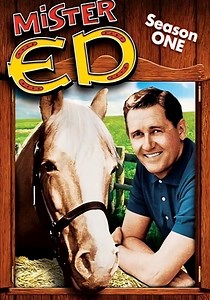 Mr. Ed temporada 1 - Ver todos los episodios online