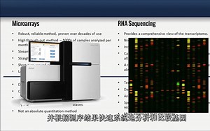 微阵列和RNA-seq测序比较