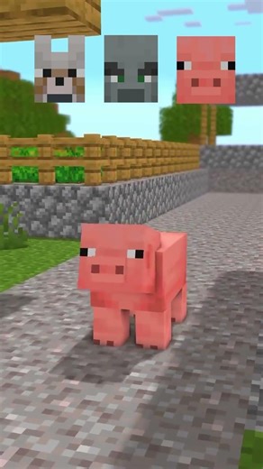 Minecraft Evolution Animation