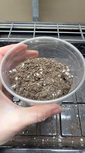 2K views · 25 reactions | You need these supplies to start seeds...