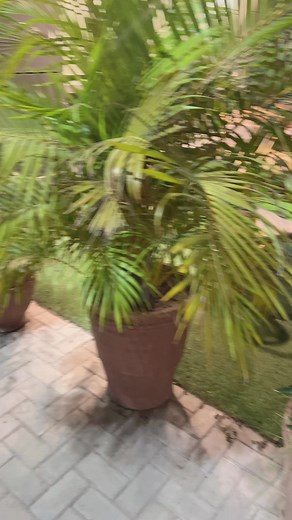 12K views · 577 reactions | Maha G | SG Studio | Facebook