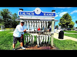 EPIC King Salmon Fishing!!!...50 BITES!!...One Trip