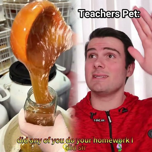 Students excuses when not doing their homework. #school #student #relatable #teacher #studentmemes