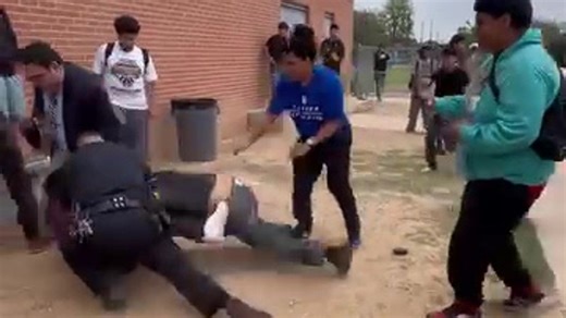 New photos and video emerge from Lanier High School fights