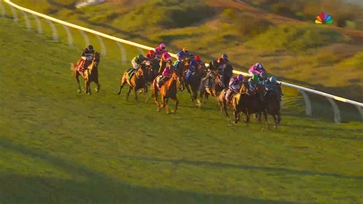 8.9K views · 138 reactions | Gstaad confirmed his status as the favorite in the Breeders' Cup Juvenile Turf with a commanding victory. Jockey Christophe Soumillon rode his first BC winner in 20 years. Aidan O'Brien trained Gstaad for the Coolmore partnership. The Starspangledbanner colt was bred in Great Britain by Maywood Stud. | Paulick Report | Facebook