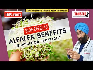 Superfood : Alfalfa Benefits & Side effects for Diabetes, Cholesterol & Kidney Problems Dr.Education