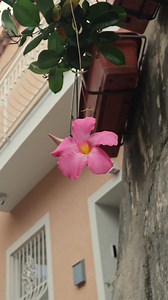 Salite a bordo. Vi porto in Calabria. Andiamo ad Amantea ❤️ Amantea è la Calabria senza filtri. Amantea è storia e bellezza. Chi di voi la conosce? #calabria #amantea #calabriadaamare | Giuseppe Garibaldi