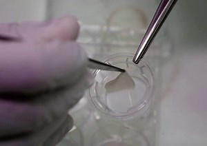 Singapore scientists use printing machine to make 'human skin'