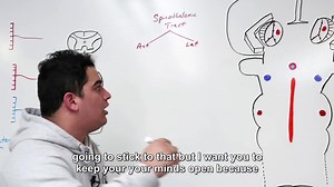 Ascending Tracts Spinothalamic Tract