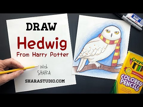 How to draw Hedwig from Harry Potter