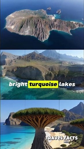 Socotra Island: Turquoise Lakes & Alien Trees 😱 | Yemen Travel Facts
