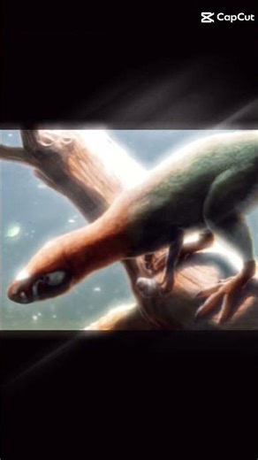 legends #camarasaurus #dinosaur #coelophysis #acrocantosaurus #dinofacts #allosaurus #albertosaurus