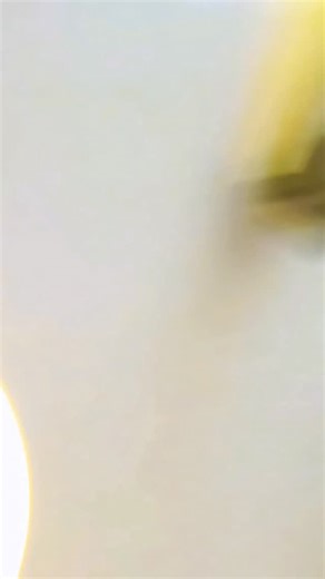 🌹Radha Rani🌹 | तुम बहार बन के 👩‍❤️‍👨🌹🌸🪷🌷🌺@vanshikak56💖💖.... . . . . . . . . . . . . . .How to boost Instagram engagement Instagram reel views increase How... | Instagram