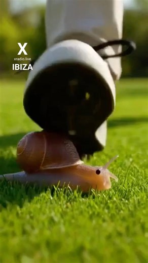 Snail Hits the Beat 🐌💥 | In Snail Heaven | xradio.live