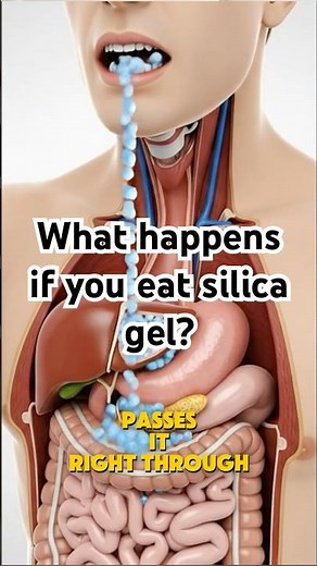 What Happens If You Eat Silica Gel? (It’s Not What You Think)