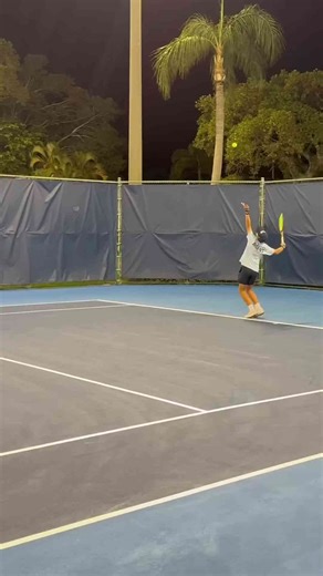 Dog at tennis match resists fetching balls 🐶🎾 #goldendoodle #tennis #delraybeachopen