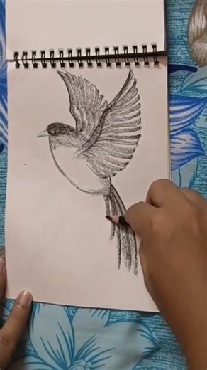 Charcoal sketch step by step #shortvideo #easydrawing #charcoalart