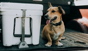 DENY Locks: New Product Denies Theft of High-End Coolers | OutdoorHub