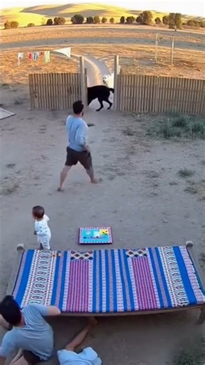 Wolves Attack a Human 😱 | Subscribe to Support the Channel 🔔