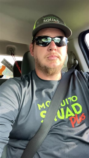 Interesting Insect Facts on TikTok