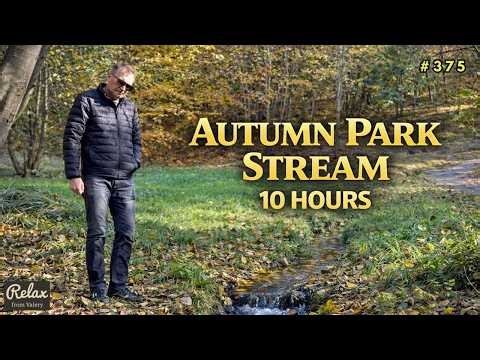 Cozy Autumn Stream – 10 Hours of Peaceful Nature Sounds