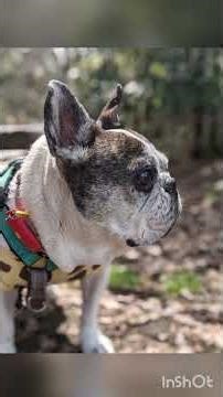 2024/04/07 二年前のアボくん。