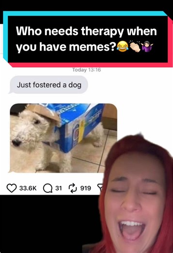 Using Memes for Stress Relief and Laughter