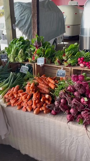 Local spring break activities! Enjoy the time off😎 #fyp #springbreak #collegebreak #gobeavs