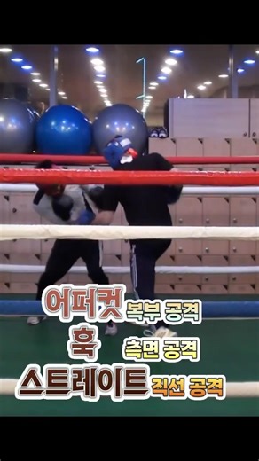 시선 교란 "fake motion" #boxing #복싱 #안동수복싱기술 #fake motion