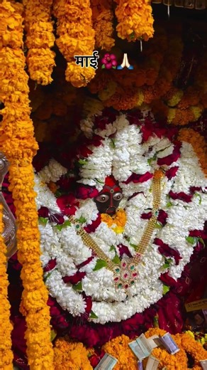 🫵Unlock the Power of Smart Learning with Advanced Gadgets! 🌟🎓 Take your learning journey to the next