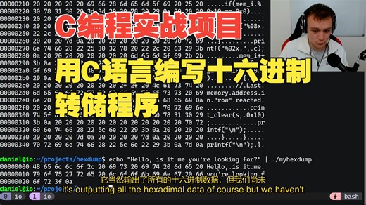 用C语言编写十六进制转储程序 中英字幕 1080P