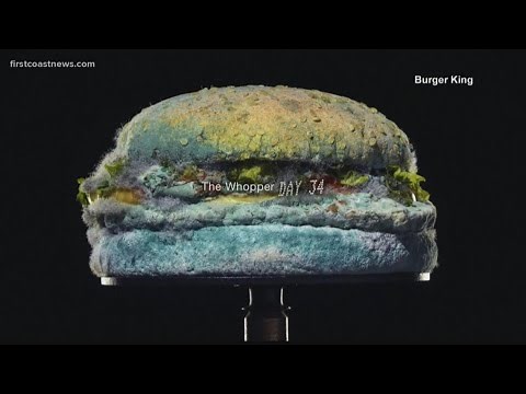Burger King ad proudly features a mold-covered burger, here's why