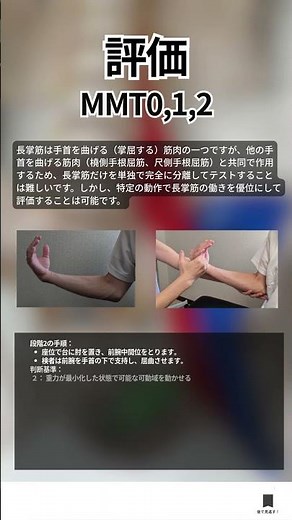 【PT・OT必見】長掌筋の評価、できていますか？ 触診のコツから臨床応用まで解説 #長掌筋 #MMT #徒手筋力テスト #理学療法 #リハビリ #作業療法 #理学療法士 #作業療法士 #療活してる