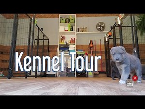 Hobby German Shepherd Breeding Kennel Tour
