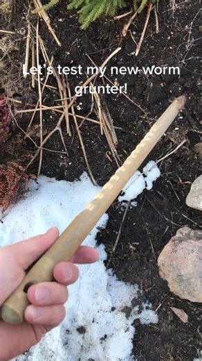 #wormgrunting #gruntok #breamfishing #breamtok #bream #fishtok #fishing