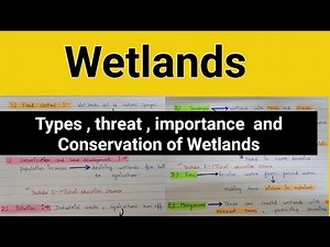 wetland | What is wetland| Types of wetlands | Importance of wetlands | Conservation of wetlands